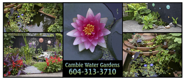 Cambie water Gardens logo